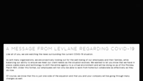 What Levlane.com website looked like in 2020 (4 years ago)