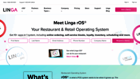 What Lingaros.com website looked like in 2020 (4 years ago)
