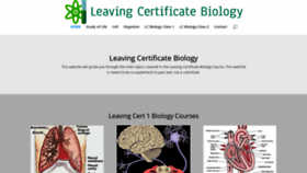 What Leavingbio.net website looked like in 2020 (3 years ago)