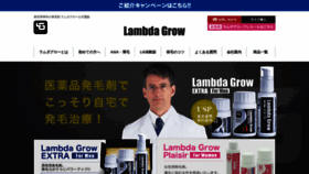 What Lambdagrow.com website looked like in 2020 (3 years ago)