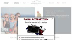 What Lellek.pl website looked like in 2020 (3 years ago)