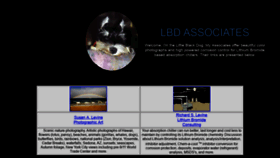 What Lbdassociates.com website looked like in 2020 (3 years ago)