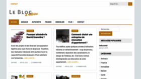 What Leblogdantoine.com website looked like in 2020 (3 years ago)