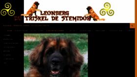 What Leonberg-de-stemidor.com website looked like in 2020 (3 years ago)