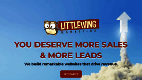 What Littlewingmarketing.com website looked like in 2020 (3 years ago)