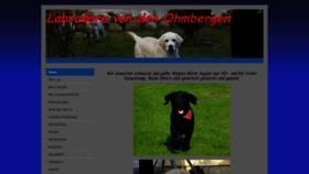 What Labrador-ja.de website looked like in 2020 (3 years ago)