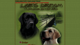 What Labsdream.com website looked like in 2020 (3 years ago)