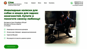 What Liras.ru website looked like in 2020 (3 years ago)
