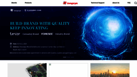 What Longsys.com website looked like in 2020 (4 years ago)