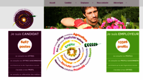 What Lagriculture-recrute.org website looked like in 2020 (3 years ago)
