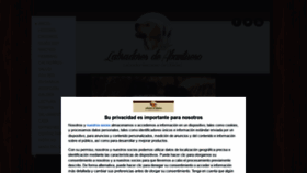 What Labradoresdeabantueso.com website looked like in 2020 (3 years ago)