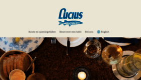 What Lucius.nl website looked like in 2020 (3 years ago)