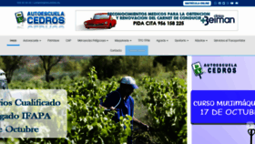 What Loscedros.es website looked like in 2020 (3 years ago)