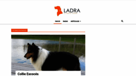 What Ladra.es website looked like in 2020 (3 years ago)