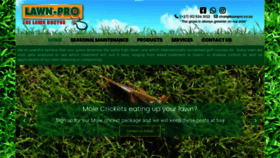 What Lawnpro.co.za website looked like in 2020 (3 years ago)