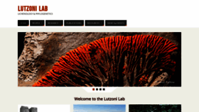 What Lutzonilab.org website looked like in 2020 (3 years ago)