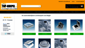 What Licht-koepels.be website looked like in 2020 (3 years ago)
