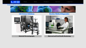 What Lkb.eu website looked like in 2020 (4 years ago)