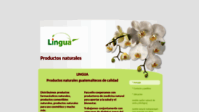 What Lingua-guatemala.com website looked like in 2020 (3 years ago)