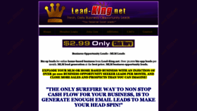 What Lead-king.net website looked like in 2020 (3 years ago)