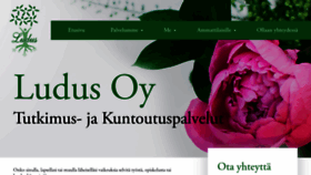 What Ludusoy.fi website looked like in 2020 (3 years ago)