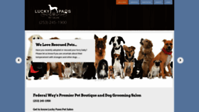 What Luckypawssalon.com website looked like in 2020 (3 years ago)