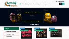 What Luna-bag.com.ua website looked like in 2020 (3 years ago)