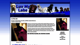 What Luvmylabs.com website looked like in 2021 (3 years ago)