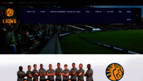 What Lionscricket.co.za website looked like in 2021 (3 years ago)