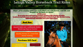 What Lehighvalleytrailrides.com website looked like in 2021 (3 years ago)