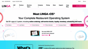 What Lingaros.com website looked like in 2021 (3 years ago)