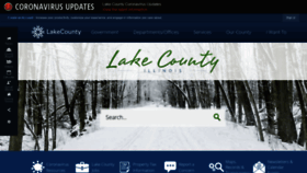 What Lakecountyil.gov website looked like in 2021 (3 years ago)