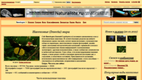 What Lepidoptera.ru website looked like in 2021 (3 years ago)
