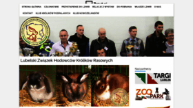What Lzhkr.pl website looked like in 2021 (3 years ago)
