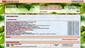 What Lozavrn.ru website looked like in 2021 (3 years ago)