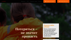 What Lizaalert.org website looked like in 2021 (2 years ago)