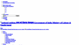 What Labour.gov.in website looked like in 2021 (2 years ago)