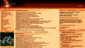 What Litset.ru website looked like in 2021 (2 years ago)