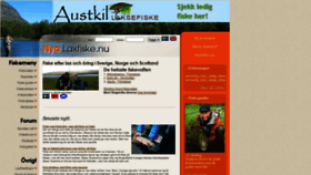 What Laxfiske.nu website looked like in 2021 (2 years ago)