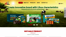 What Lihuapharma.com website looked like in 2021 (2 years ago)