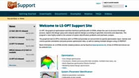 What Lsoptsupport.com website looked like in 2021 (2 years ago)
