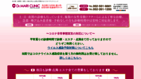 What Lady-plus.jp website looked like in 2022 (2 years ago)