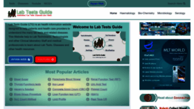 What Labtestsguide.com website looked like in 2023 (1 year ago)