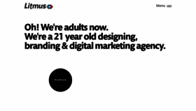 What Litmusbranding.com website looked like in 2023 (1 year ago)