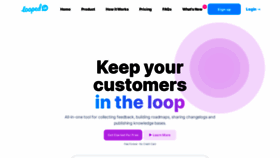 What Loopedin.io website looked like in 2023 (1 year ago)
