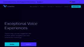 What Lumenvox.com website looked like in 2023 (1 year ago)