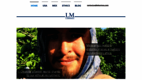 What Labormex.com website looked like in 2023 (This year)