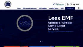 What Lessemf.com website looked like in 2023 (This year)
