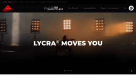 What Lycra.com website looked like in 2023 (This year)
