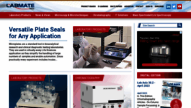 What Labmate-online.com website looked like in 2023 (This year)